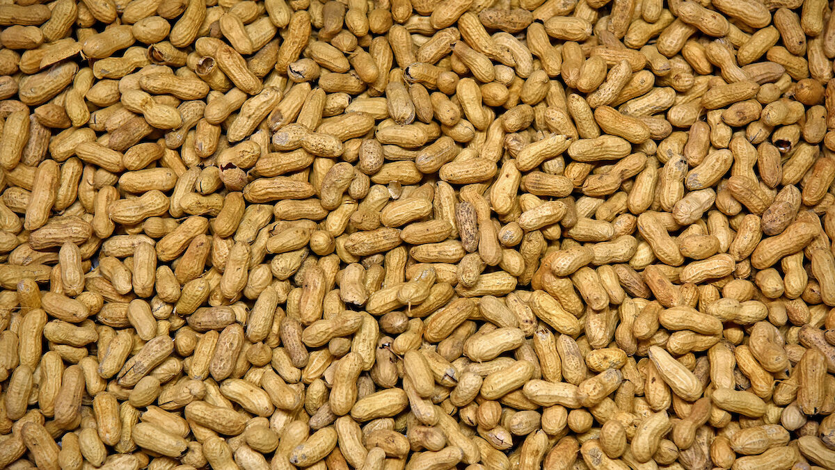 peanuts