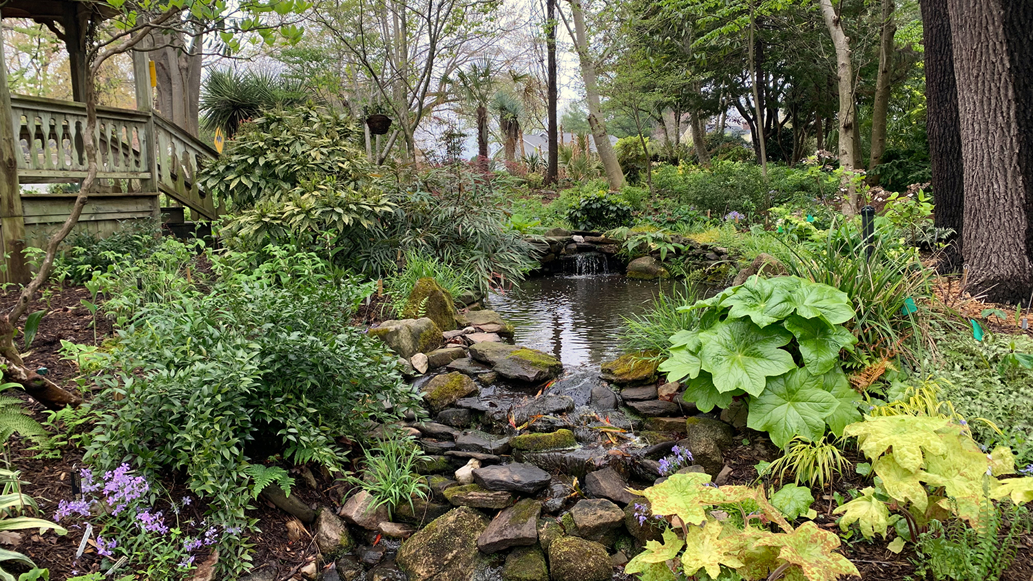 Juniper Level Botanic Garden gazebo and creek