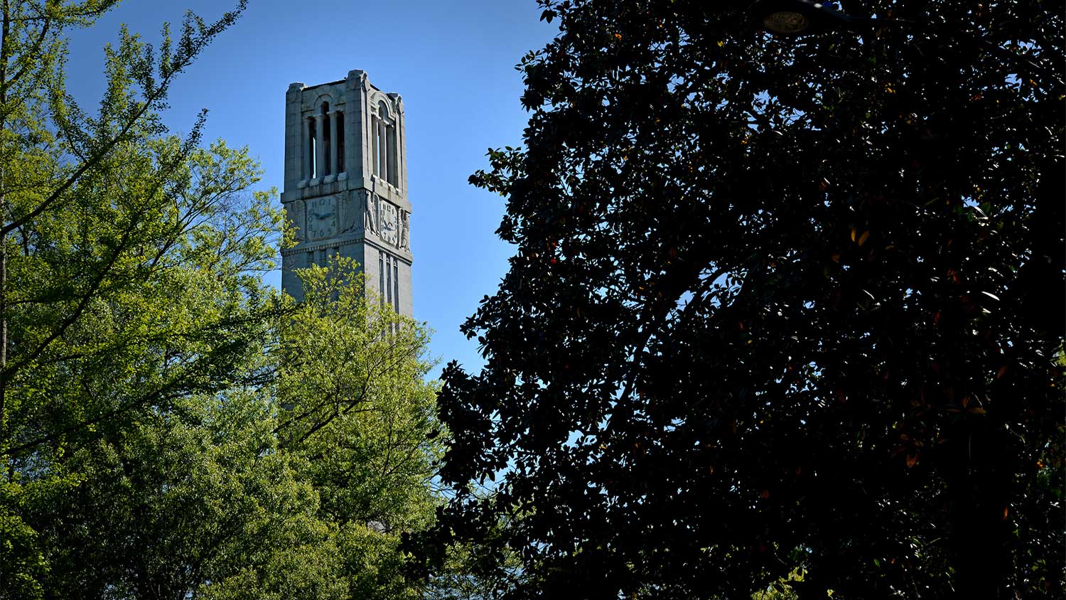 memorial belltower peeking through tree line