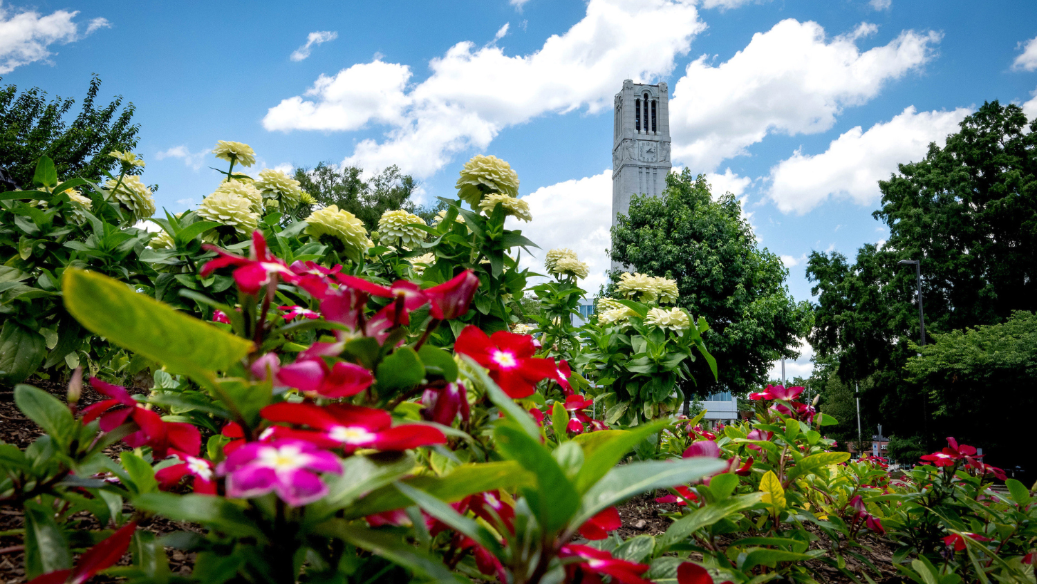 The Belltower is framed with spring flowers on a warm May afternoon. Photo by Becky Kirkland.